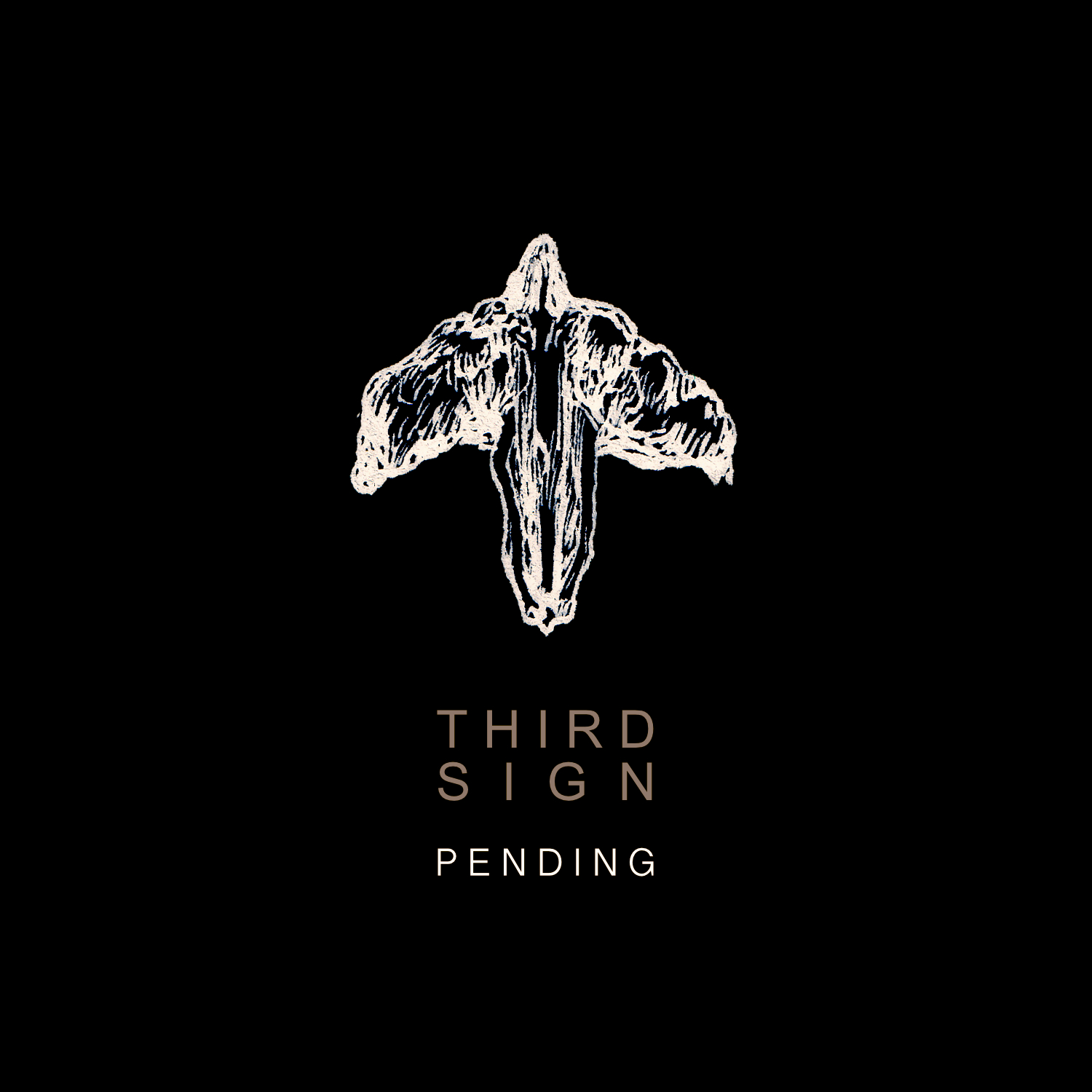 Third Sign Band Logo